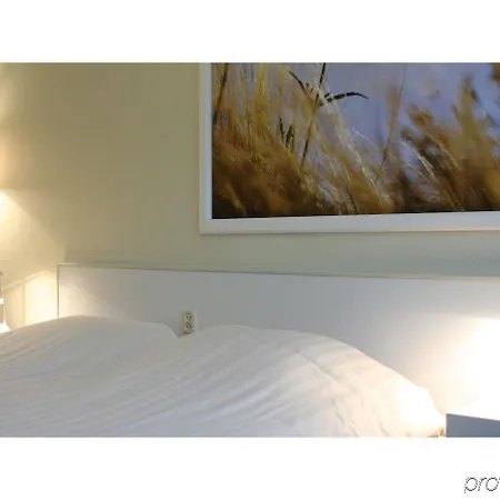 酒店 原住酒店 海牙